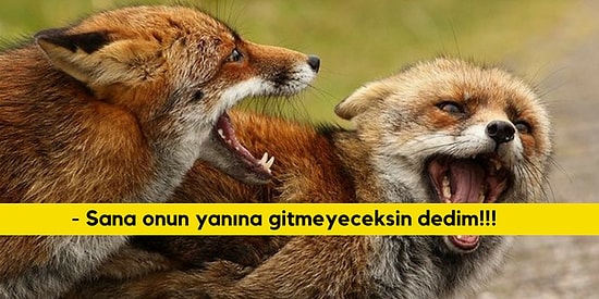 Aşk Hayatında Hangi Hayvan Gibisin?