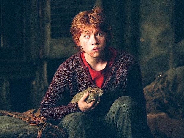 Scabbers