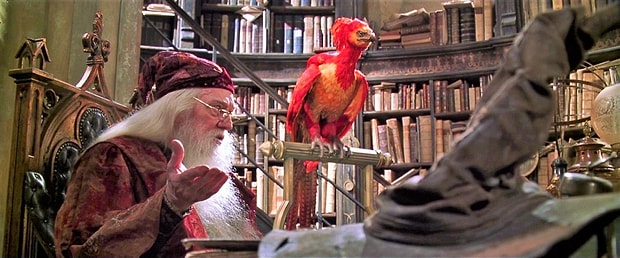 Fawkes