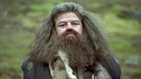 2. Rubeus Hagrid