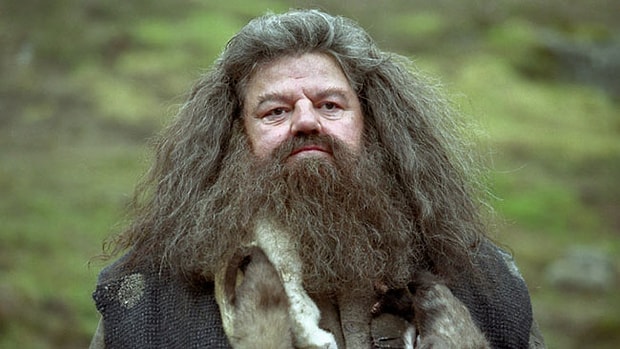 Hagrid
