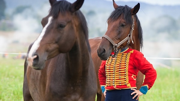 16. Лошадь вызывали?