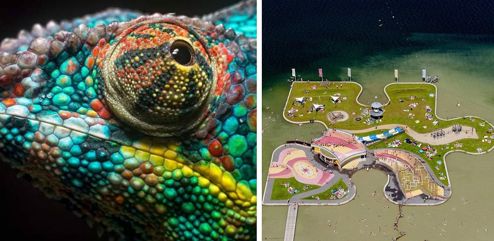 Захватывающие фото, которые покажут вам неожиданную сторону нашей жизни