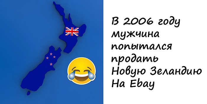 Забавные факты, которые помогут вам проходить наши тесты на общие знания