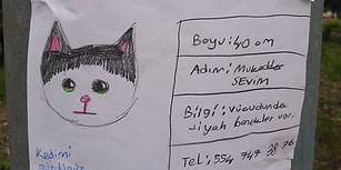Gözümüz Aydın! Robot Resmiyle Aranan Kedi 'Benekli' Bulundu