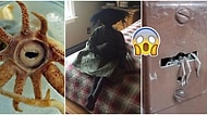 Tüyleriniz Diken Diken Olacak! Gerilim Yaşamaya Hayran Olan İnsanları Bile Ürpertecek 18 Görsel
