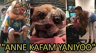 Anlam Vermeye Çalışırken Çıldırtan, Bi' Garip Olayların Döndüğü 15 Beyin Yakan Fotoğraf