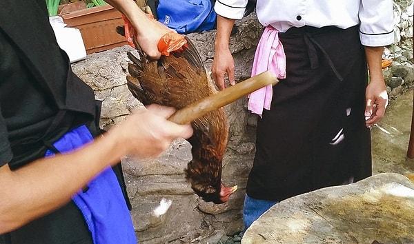 7. Filipinler'de damarları kanlar, vücudu ise yara bereyle dolunca etin daha lezzetli olduğuna inanıldığı için tavuklar döverek öldürülüyor.