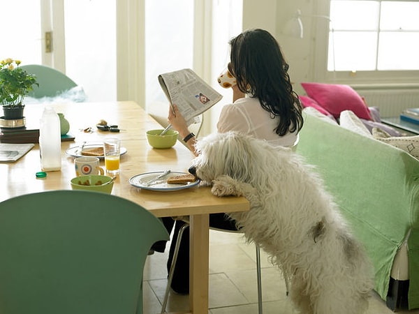 7. Как начинается ваше обычное утро?