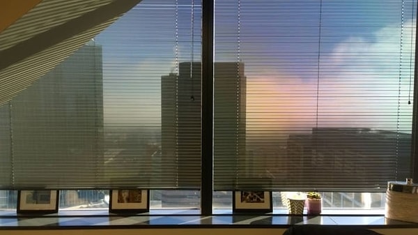 8. Эти жалюзи спасают от палящего солнца, но не от вида за окном!