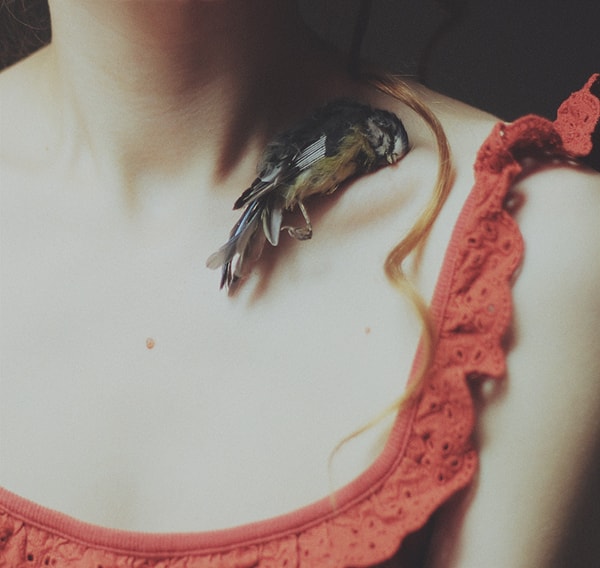 5. Кто написал произведение об 11-летней девочке, в которую был влюблен?