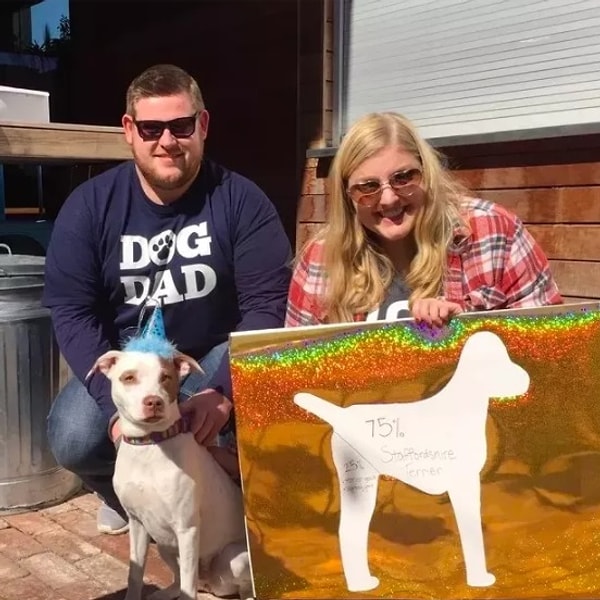 9. Семья, устроившая вечеринку в честь определения породы своей собаки после того, как ее ДНК-тест был получен))))