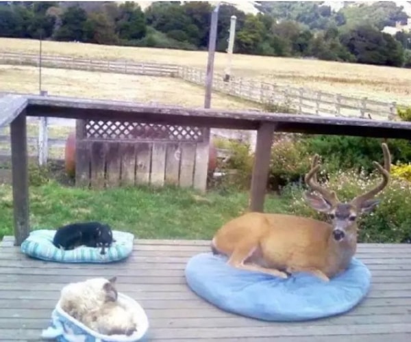 12. Вот она настоящая забота!