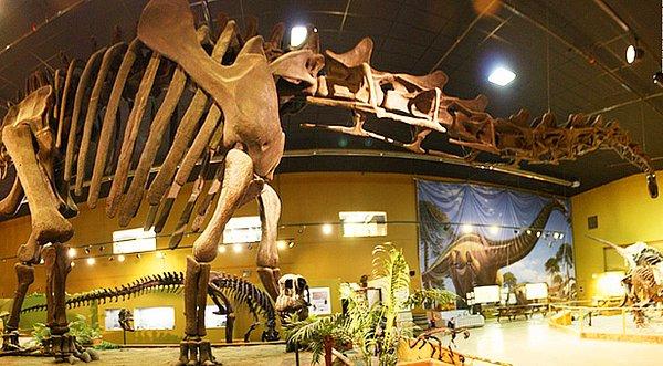 8. Büyük Sahra Çölü'nde devasa bir dinozor iskeleti bulundu.