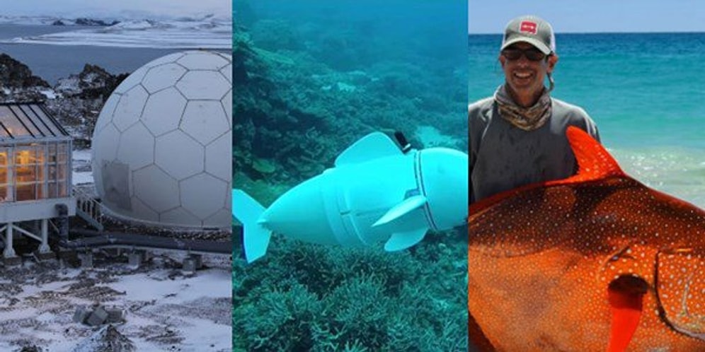 Hepsi Daha İyi Bir Dünya İçin! Bilim İnsanlarının Sizleri Şaşırtacak 18 Başarısı