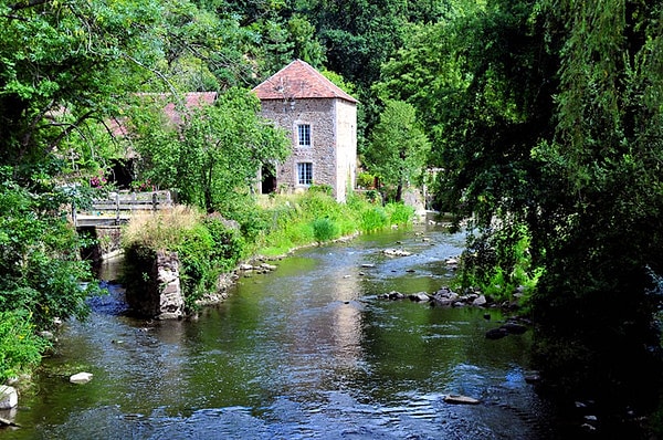 3. Какое животное представляет Францию?