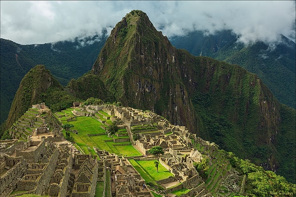 6. Какое животное является национальным символом Боливии?