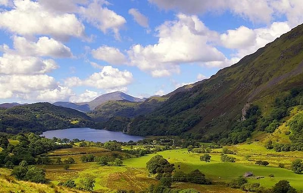 11. Один из главных символов-животных Великобритании - это...