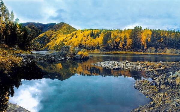 15. Ну уж национальное животное России вы точно знаете... Не правда ли?