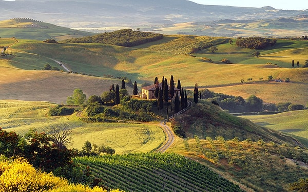 12. Какое животное считается национальным в Италии (хоть и неофициально)?