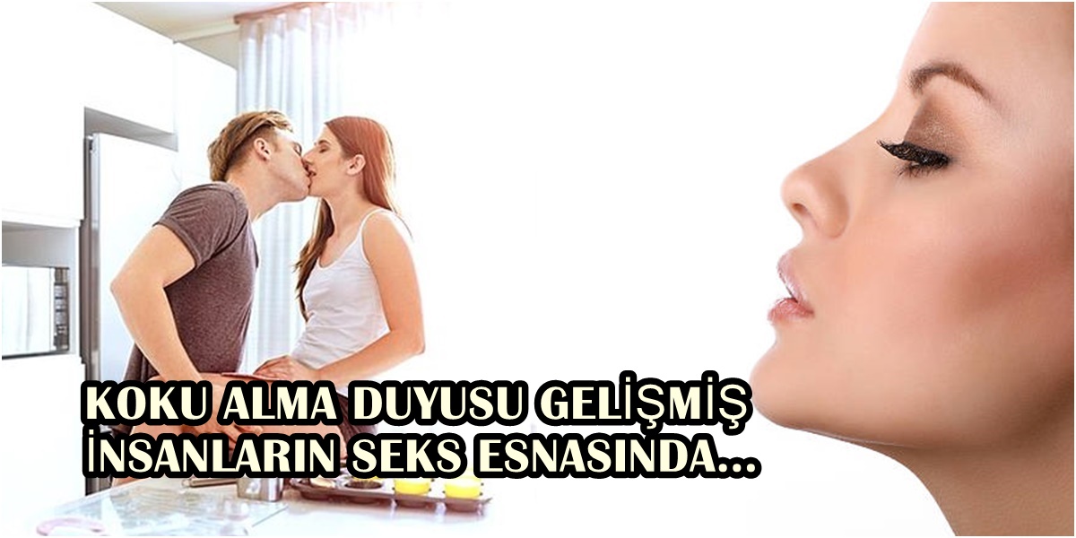 s-6a1e8e02d91154b52adcaff0fc60d36364802d19.jpg