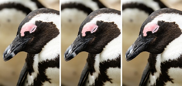 2. Какая картинка немного отличается?