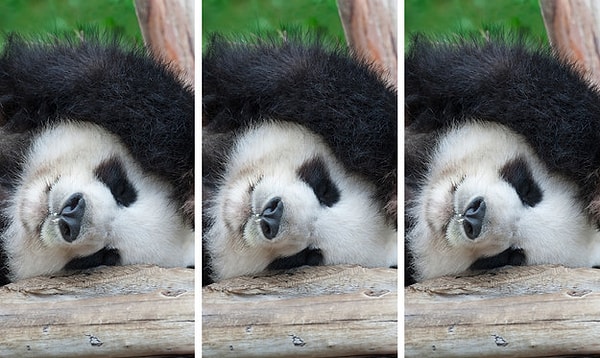 3. Какая картинка немного отличается?