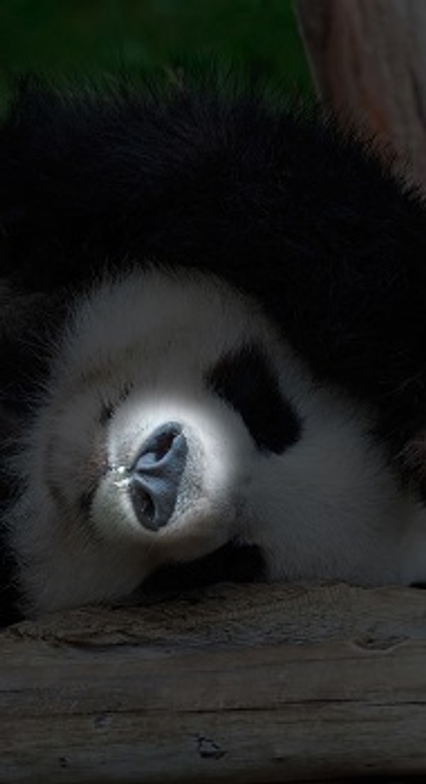 Посмотреть правильный ответ: