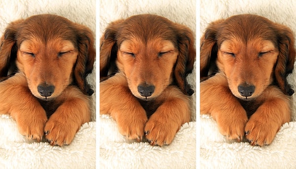 7. Какая картинка немного отличается?