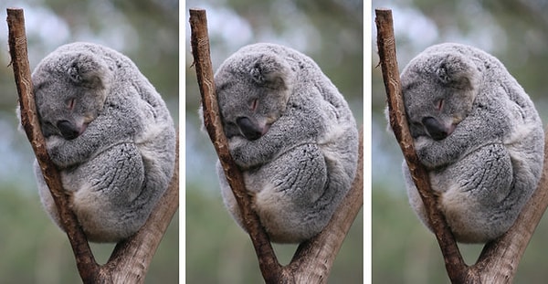 8. Какая картинка немного отличается?