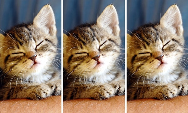 9. Какая картинка немного отличается?