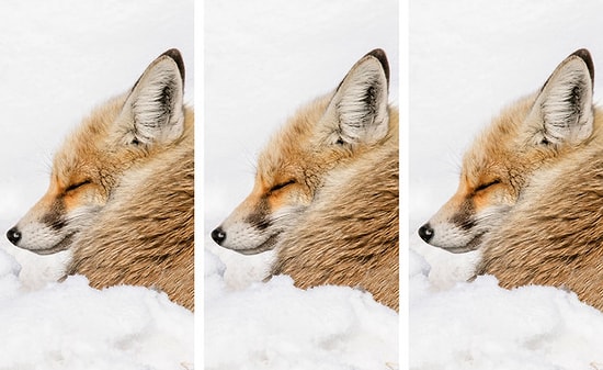 Тест: Способны ли вы заметить самые мелкие детали?