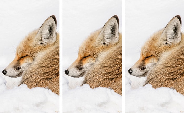 Тест: Способны ли вы заметить самые мелкие детали?