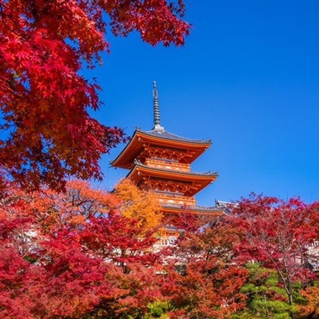 Japonya