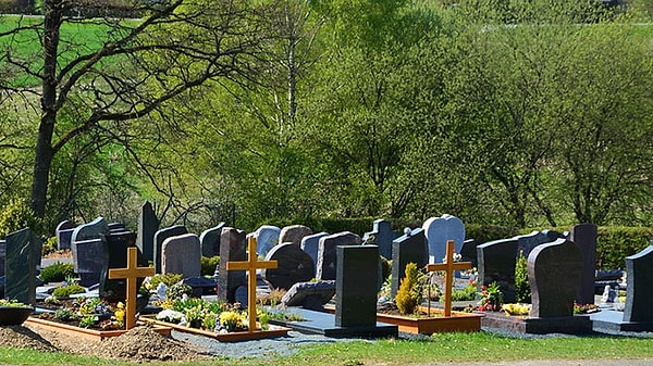 2. Через год в это же время 54 миллиона живых сейчас людей уже будут мертвы.