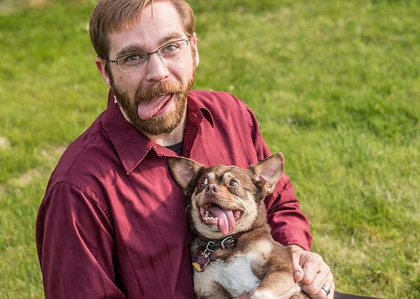 Наверное, вам больше по душе кошки? 😺