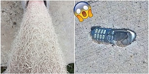 Karşılaşma İhtimalinizin Neredeyse İmkânsız Olduğu Birbirinden Olağanüstü Durumların Yaşandığı 12 Fotoğraf