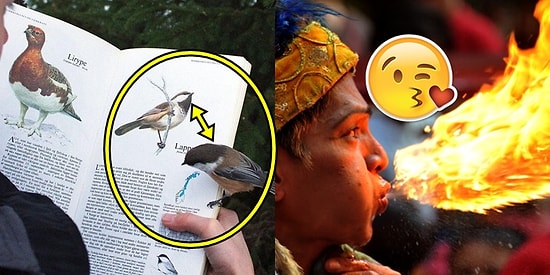 Hayat Boyu Yalnızca Bir Kez Denk Gelebileceğimiz Birbirinden Çılgın 24 Tesadüf