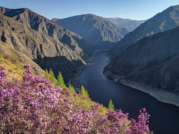 2. Эта река протекает на территории двух стран - России и Монголии. Как она называется?