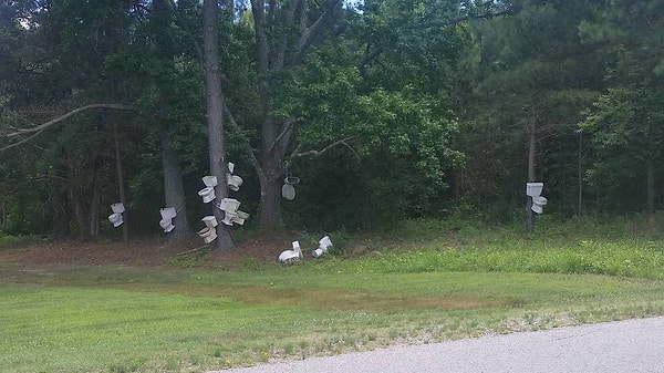 12. О, перелетные туалеты прилетели