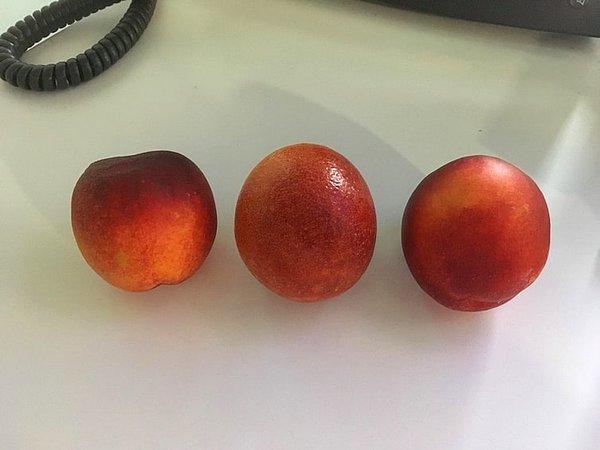 20. Öğle yemeğinde iki nektarin ve bir kan portakalınız var. Hangisinin ne olduğunu ayırt edebilecek misiniz?