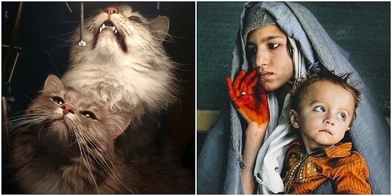 Çektikleri Fotoğrafları Hoş Bir Anı Olmaktan Çıkarıp Adeta Rönesans Tablosuna Dönüştüren 22 Kişi