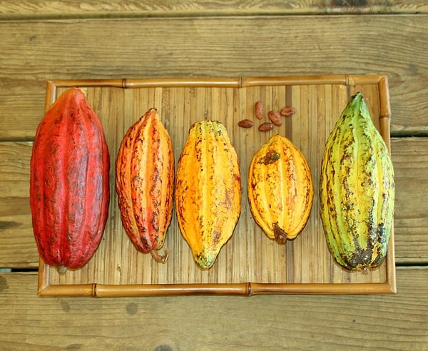 4. Всех цветов радуги 🌈