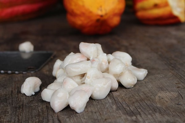 6. Ею окружен каждый боб