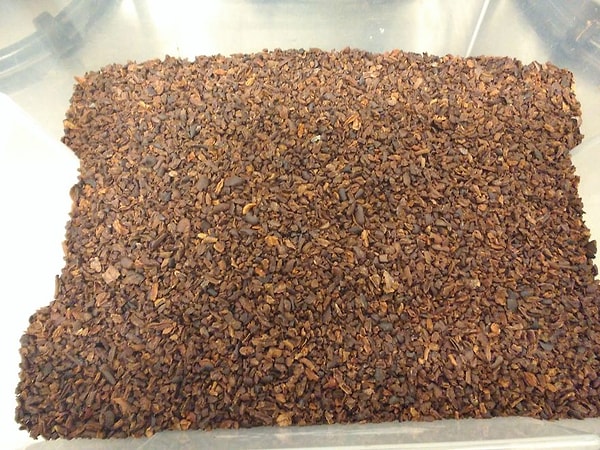 15. Вот так бобы выглядят после очистки. Теперь их можно молоть!