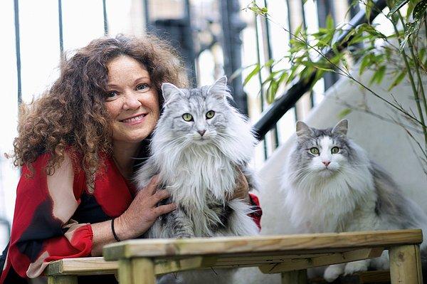 Anita Kelsey, kedi psikolojisi üzerine araştırmalar yapmış bir kedi davranışı bilimcisi.