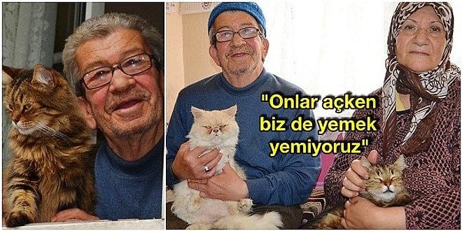 Sokak Kedilerini Evlerine Alıp Çocukları Gibi Bakan Murat Amca ve Hatice Teyze'yi Mutlaka Tanımalısınız!