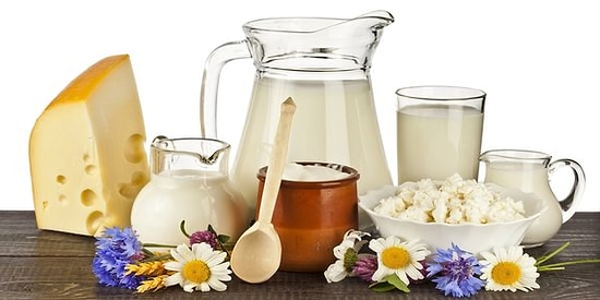 То, что мы едим и пьем каждый день: Много ли вы знаете о молочных продуктах?