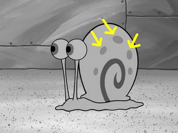 3. Какого цвета эти круги на панцире Гэри?