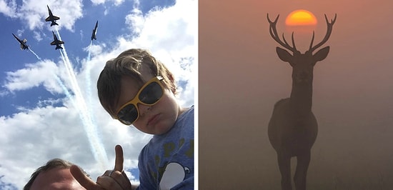 20 изумительных фото, сделанных в нужный момент, на которые стоит посмотреть дважды